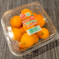 Miyazaki Kumquat (Kinkan) 宮崎金柑