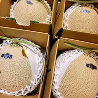 Shizuoka Crown Melon 靜岡皇冠蜜瓜