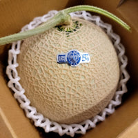 Shizuoka Crown Melon 靜岡皇冠蜜瓜