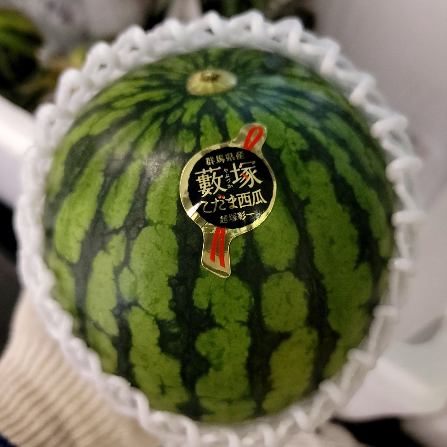 Yabuzuka Kodama Watermelon 群馬藪塚小玉西瓜