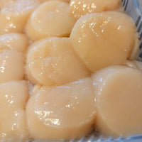 Fresh Hokkaido Scallops 北海道新鮮元貝