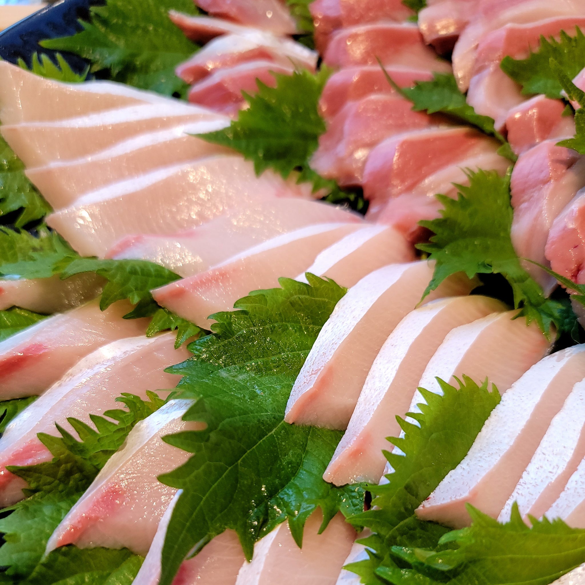 Fresh Hamachi (Buri) Loin  日本新鮮鰤魚刺身 "日本開運魚"