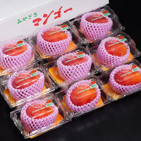 Miyazaki Kanjuku Mango 宮崎縣產完熟芒果