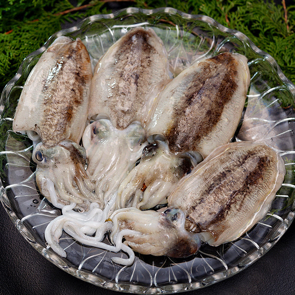 Japanese Spineless Cuttlefish (Sumi ika) 新鮮墨烏賊