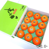 Setoka Mikan 瀨戶香蜜柑