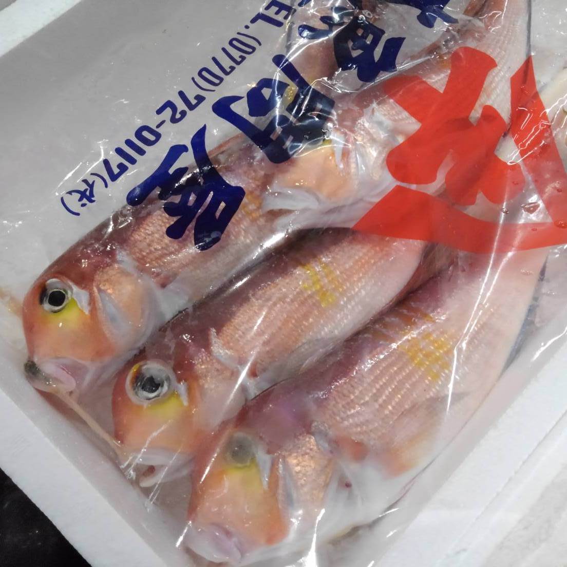 Fresh Tilefish (Amadai) 新鮮甘鯛 (馬頭魚)