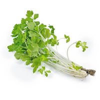 Japanese White Celery 新鮮日本白芹菜