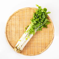 Japanese White Celery 新鮮日本白芹菜