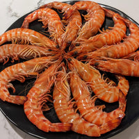 Japanese Tiger Prawn (kurumaebi) 新鮮車海老