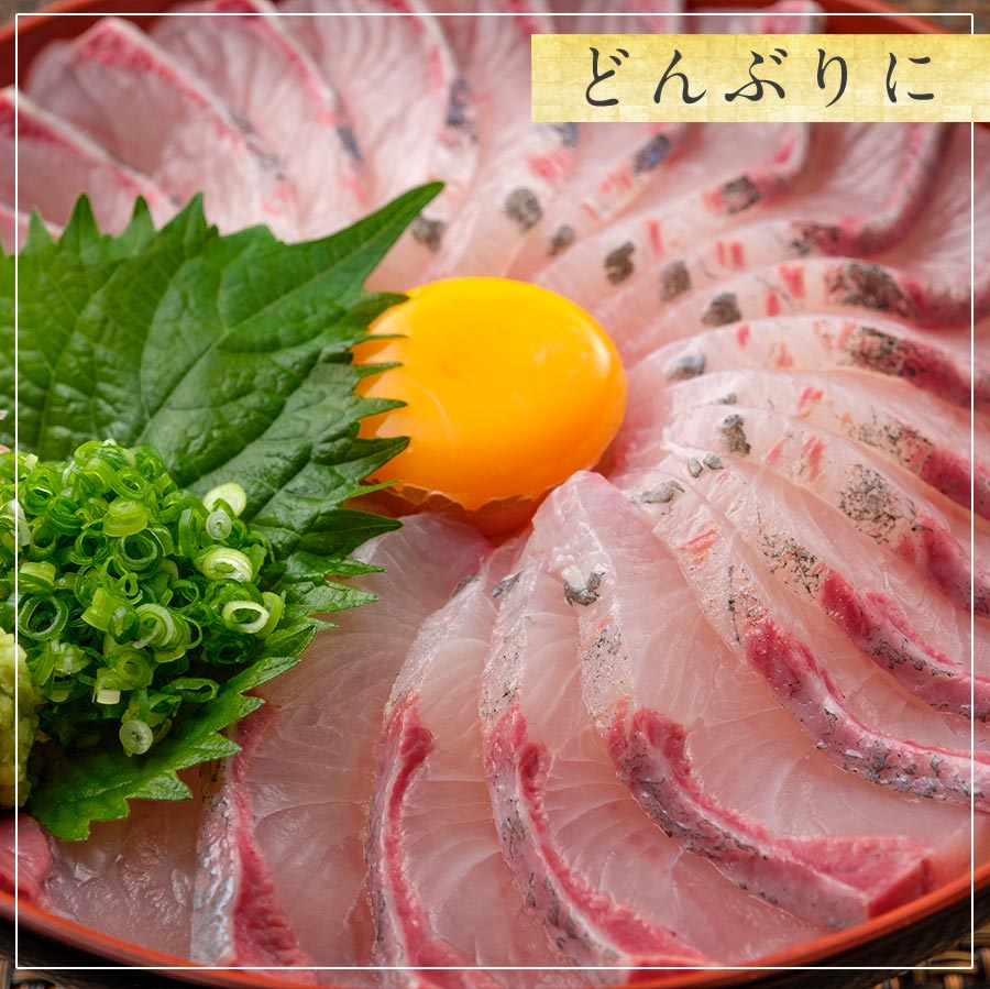 Fresh Hamachi (Buri) Loin  日本新鮮鰤魚刺身