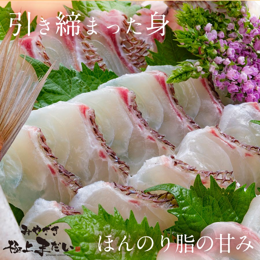 Fresh Sea Bream Madai Loin (half-side) 日本新鮮真鯛刺身