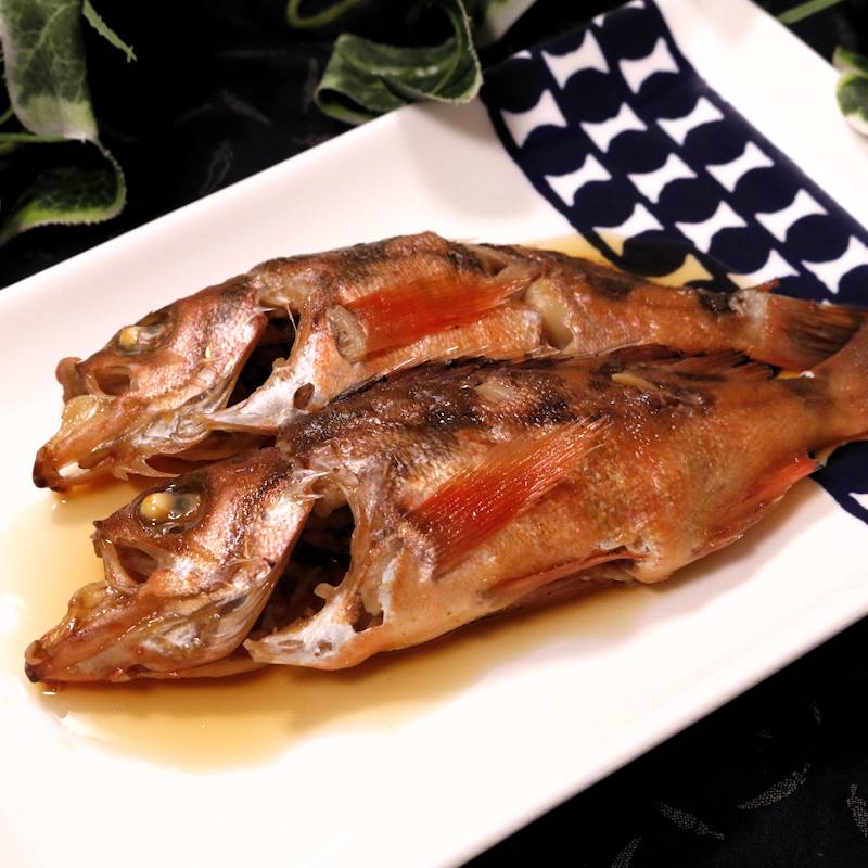 Japanese Red Seaperch (Mebaru) 新鮮目張魚