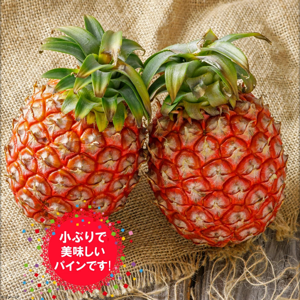 Okinawa Peach Pineapple 沖繩桃香菠蘿