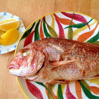 Seabream (Madai) 真鯛