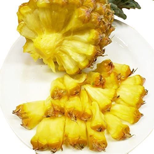 Okinawa Snack Pineapple 沖繩手撕菠蘿