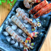 Japanese Tiger Prawn (kurumaebi) 新鮮車海老