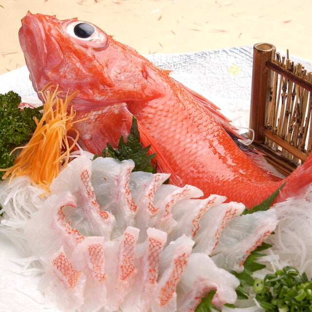 Fresh Channel Rockfish (Kinki) 新鮮喜知次