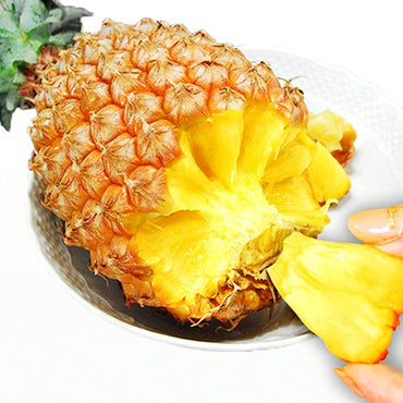 Okinawa Snack Pineapple 沖繩手撕菠蘿