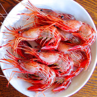 Morotoge Red Shrimp (shimaebi) 新鮮縞海老