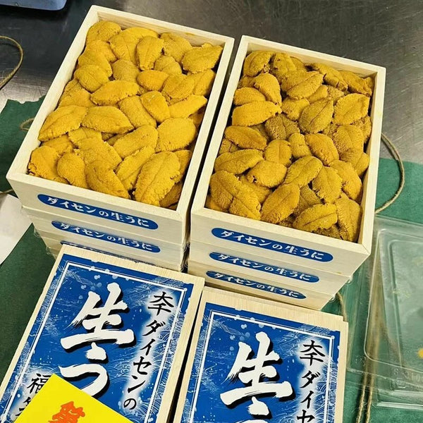 Daisen Premium Murasaki Uni (Market Price) 大千極上紫海膽