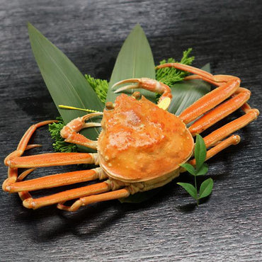 Hokkaido Snow Crab
