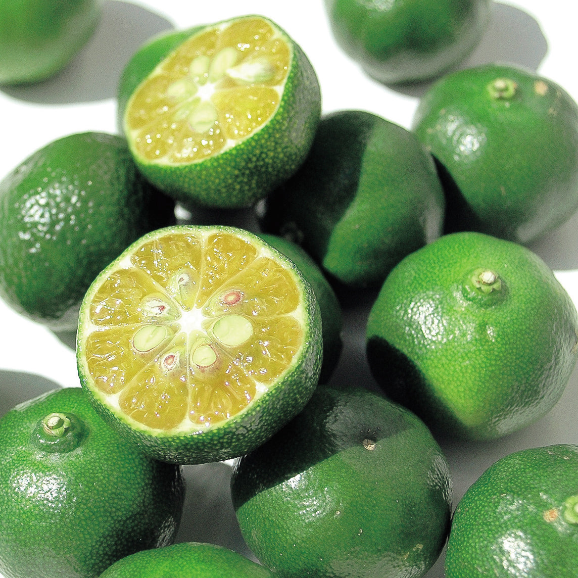 Okinawa Shikuwasa Limes 沖縄特產香檬
