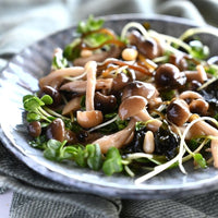 Daikon Radish Sprouts (Kaiware) 新鮮日本蘿蔔苗