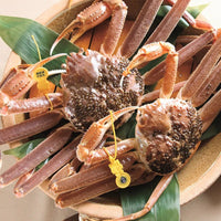 Japanese Snow Crab Echizen Gani 日本新鮮越前蟹