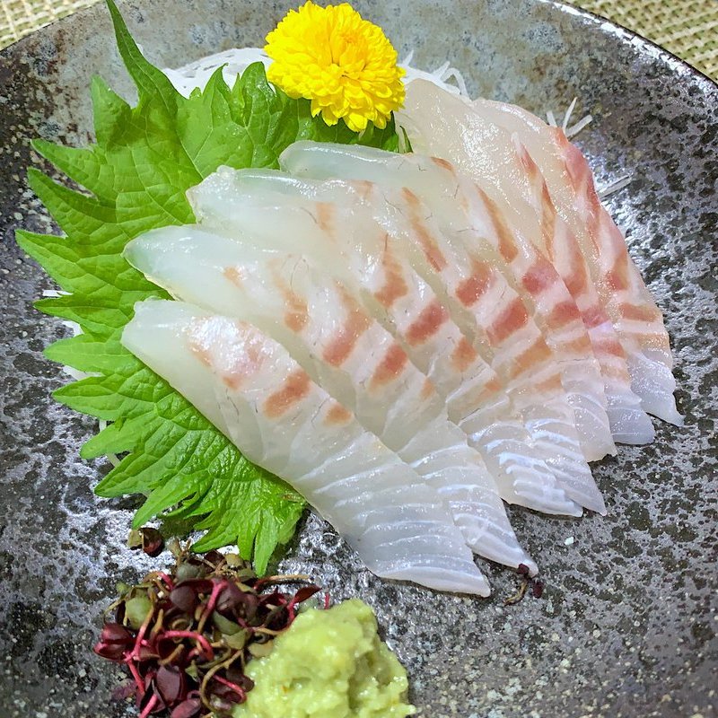 Fresh Seabream (Madai) 新鮮野生真鯛