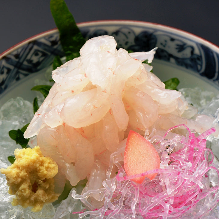 Toyama white shrimp (shiroebi) 富山灣新鮮白蝦