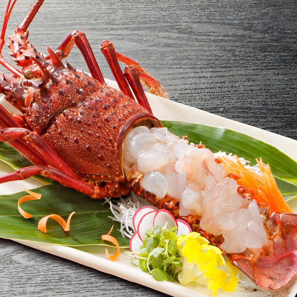 Japanese Spiny Lobster (Ise-ebi) 新鮮日本伊勢海老