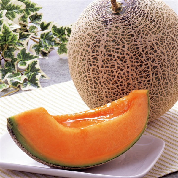 Hokkaido Raiden Melon 北海道雷電蜜瓜