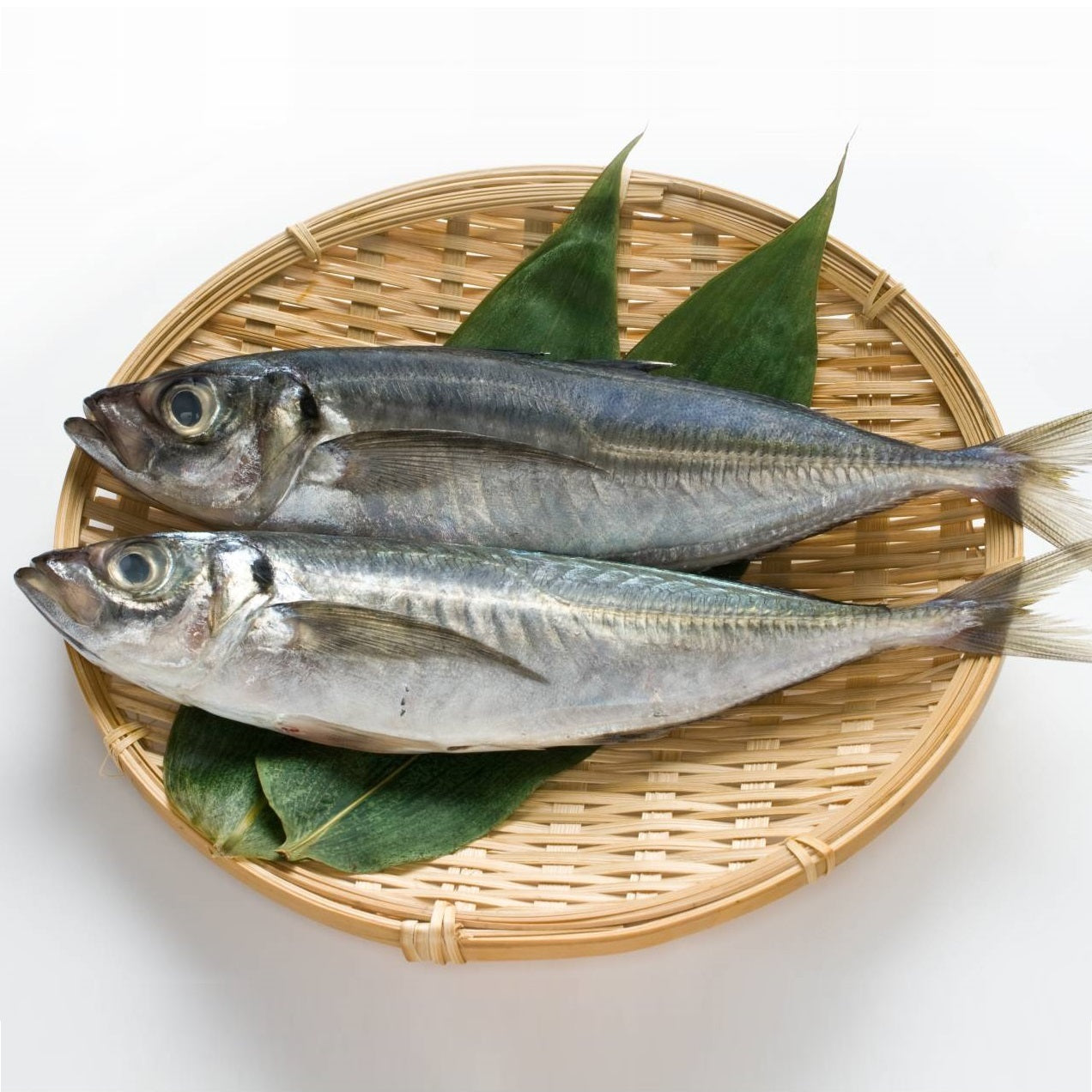 Fresh Horse Mackerel (Aji) 新鮮日本竹筴魚