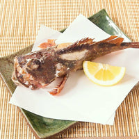 Scorpionfish (kasago) 石九公