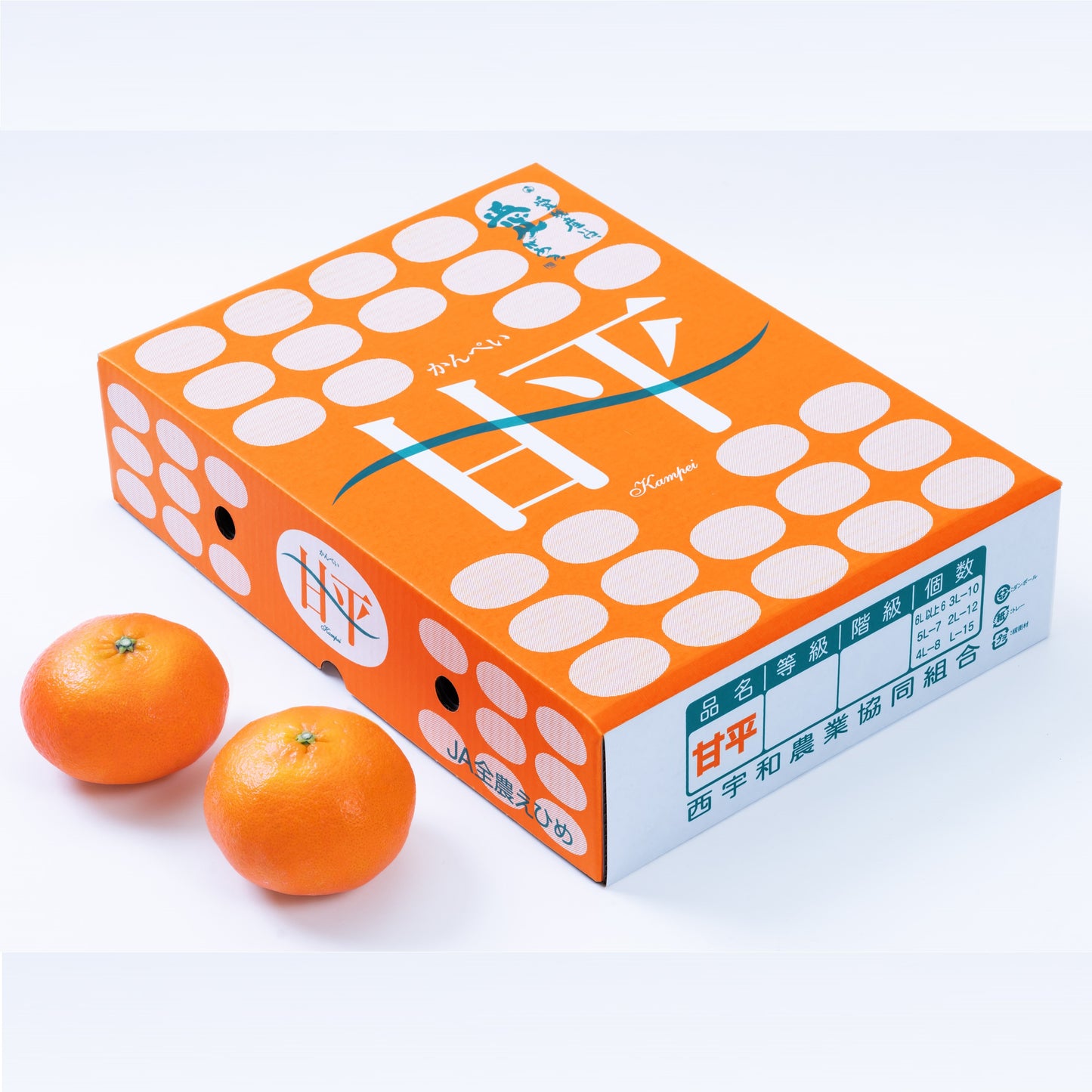 Ehime Kanpei Mikan 愛媛甘平蜜柑