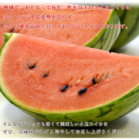 Yabuzuka Kodama Watermelon 群馬藪塚小玉西瓜