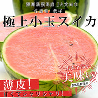 Yabuzuka Kodama Watermelon 群馬藪塚小玉西瓜