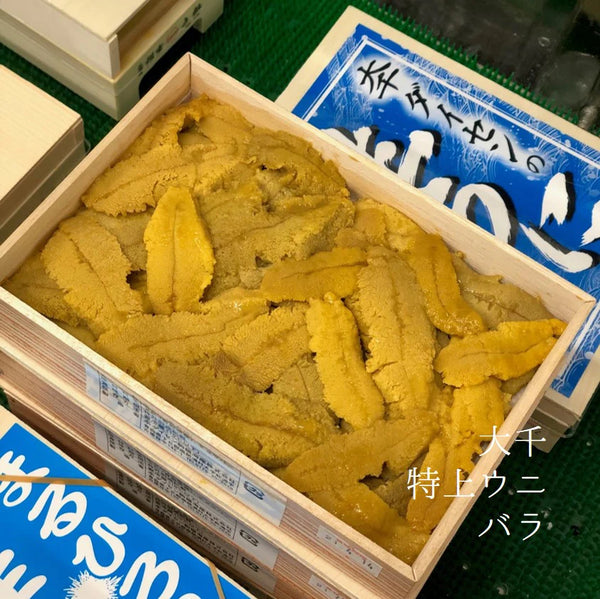 Daisen Premium Murasaki Uni (Market Price) 大千極上紫海膽