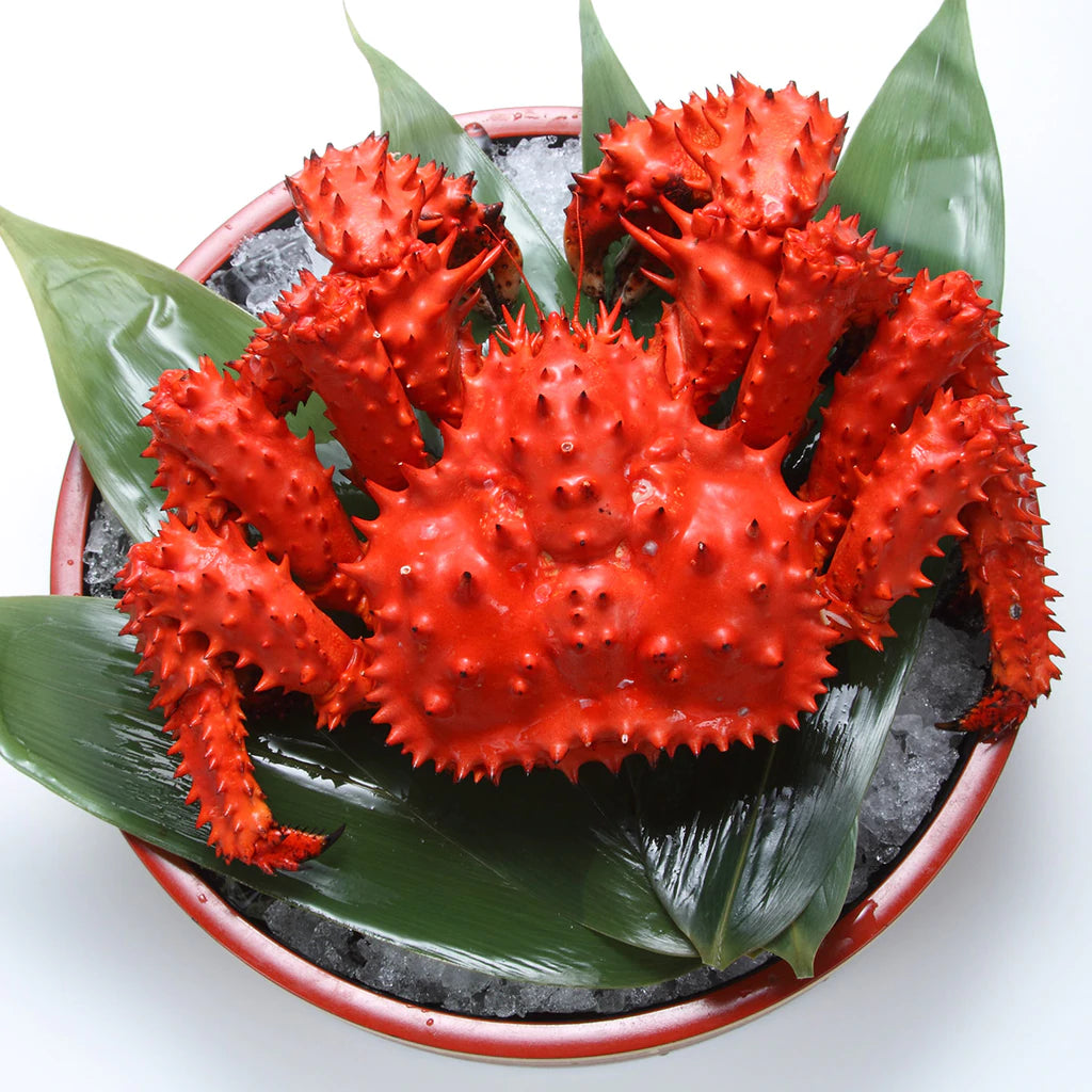 Hanasaki Crab (hanasaki gani) 新鮮花咲蟹