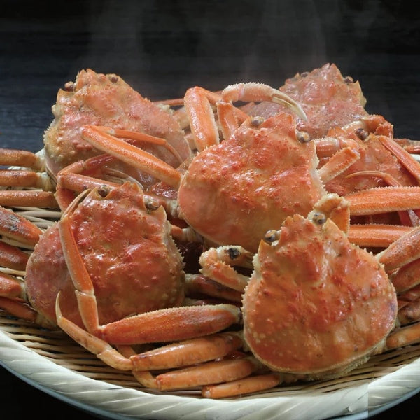 Fresh Female Snow Crab (Seko Gani) 日本新鮮香箱蟹