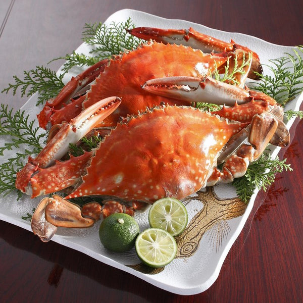 Japanese Blue Crab (Watari gani) 新鮮日本渡蟹