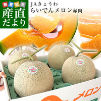 Hokkaido Raiden Melon 北海道雷電蜜瓜