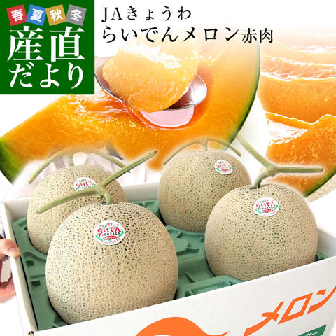 Hokkaido Raiden Melon 北海道雷電蜜瓜