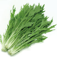 Japanese Mustard Greens Mizuna 新鮮日本水菜