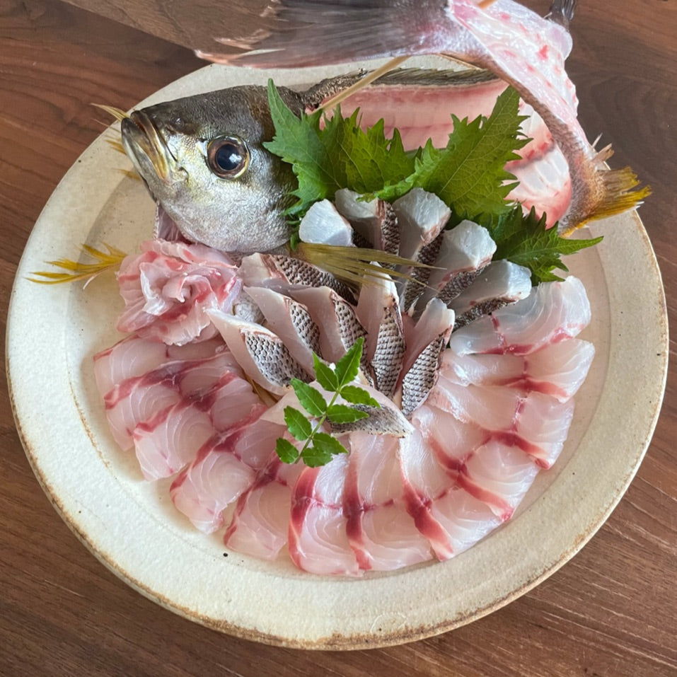 Fresh Chicken Grunt (Isaki) 新鮮日本黃雞魚