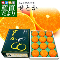 Setoka Mikan 瀨戶香蜜柑