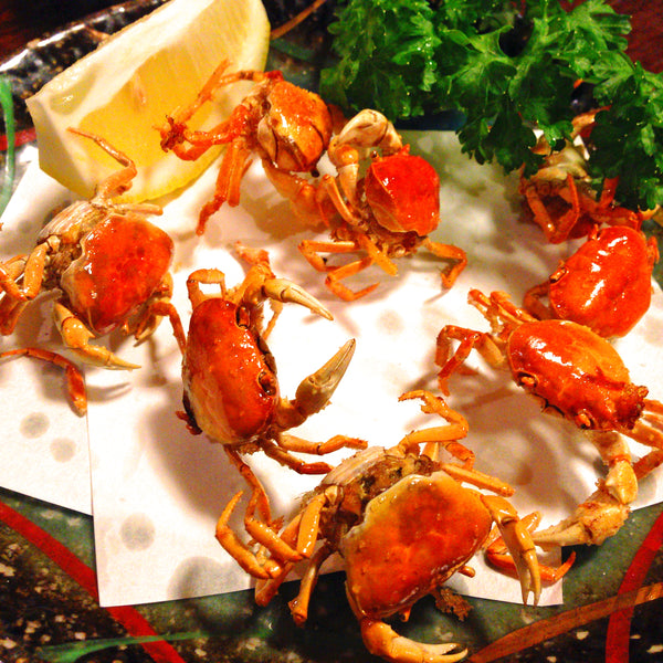 Miyazaki Fresh Water Crab (Sawagani) 宮崎産野生小澤蟹
