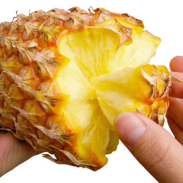 Okinawa Snack Pineapple 沖繩手撕菠蘿