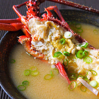 Japanese Spiny Lobster (Ise-ebi) 新鮮日本伊勢海老