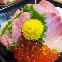 Japanese Chrysanthemum (Kogiku) 日本食用小菊